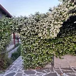 House - In Aridaia-loutra Pozar