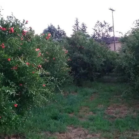 House - In Aridaia-loutra Pozar *