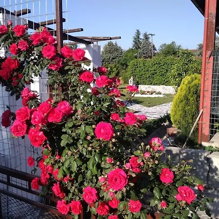 Holiday home House - In Aridaia-loutra Pozar Aridaia