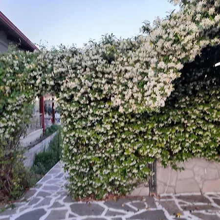 House - In Aridaia-loutra Pozar
