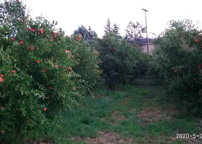 House - In Aridaia-loutra Pozar *