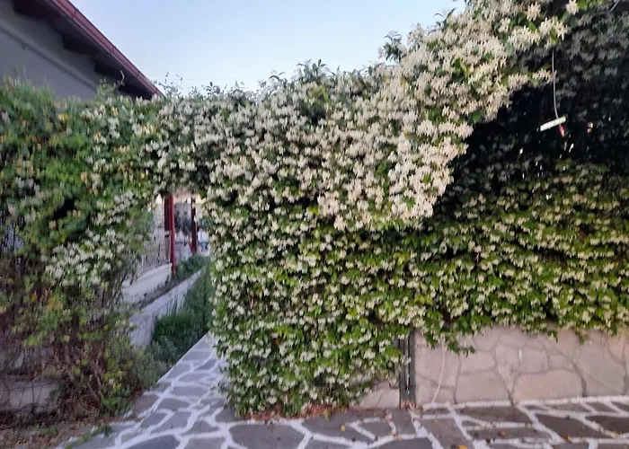 House - In Aridaia-loutra Pozar